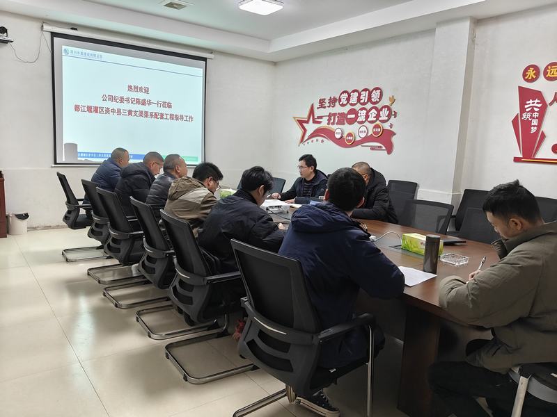 陳盛華到三黃支渠項目調(diào)研