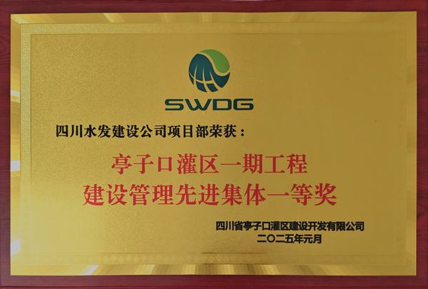 新歲奮楫，篤行不怠 公司榮獲亭子口項目業主表彰